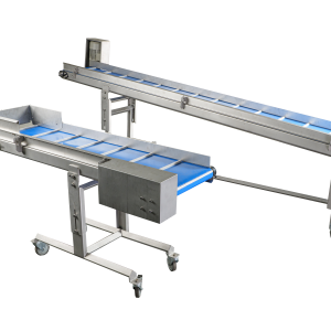 Sorting conveyor with transporter for fruits and vegetables
