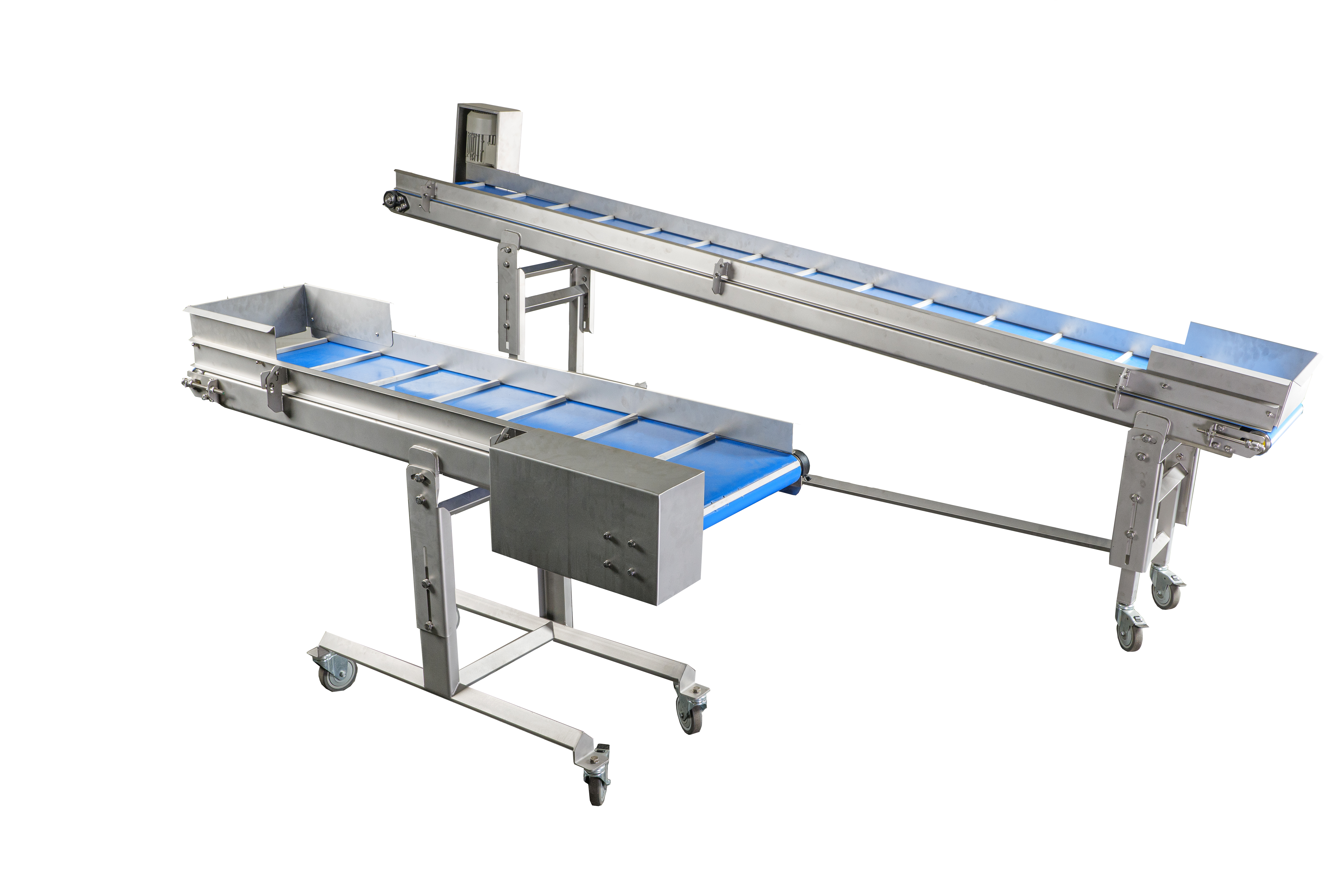 Sorting conveyor with transporter for fruits and vegetables