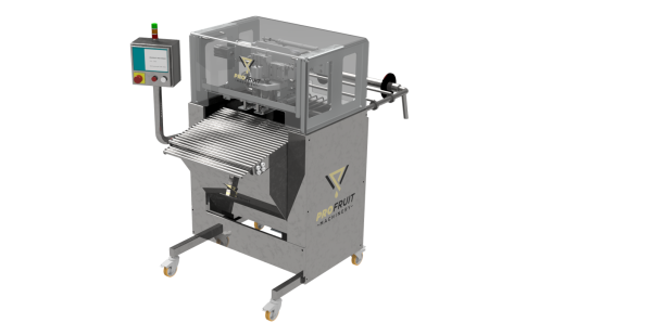 Automatic bag in box filler for bags in web